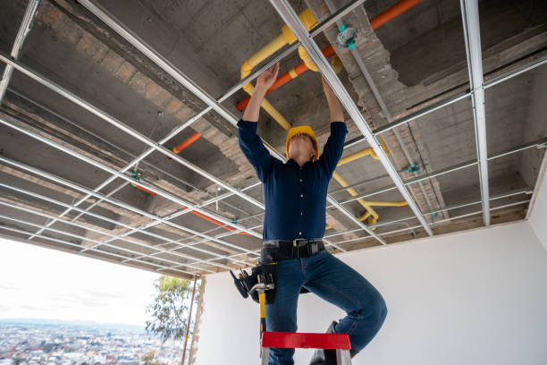 Best Residential Plumbing Services  in Windom, MN