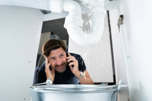 Best Clogged Drain Plumber  in Windom, MN