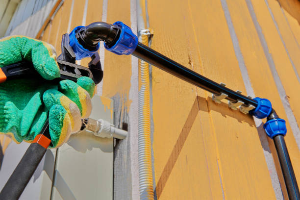 Best Leak Detection Services  in Windom, MN